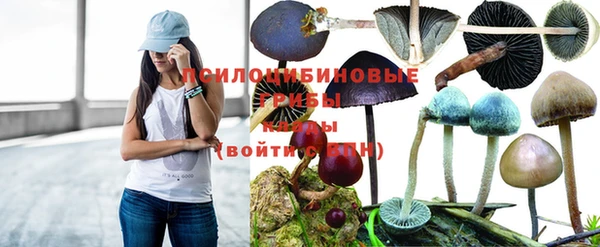 не бодяженный Магадан