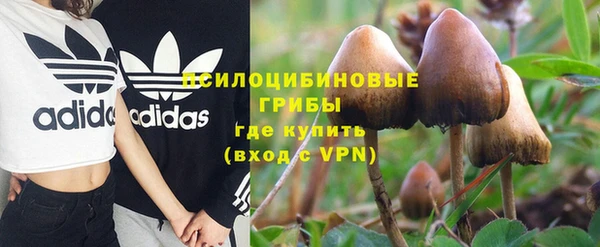 не бодяженный Магадан