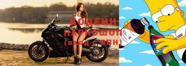 мдпв Новосибирск