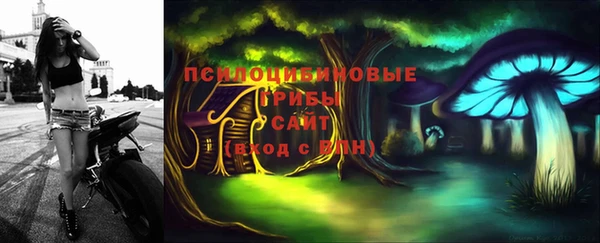 мдпв Новосибирск