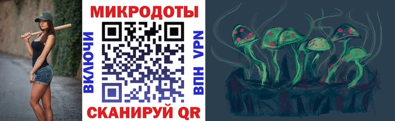 Галлюциногенные грибы Psilocybine cubensis  Купить  Каменногорск 